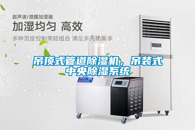 吊頂式管道除濕機，吊裝式中央除濕系統