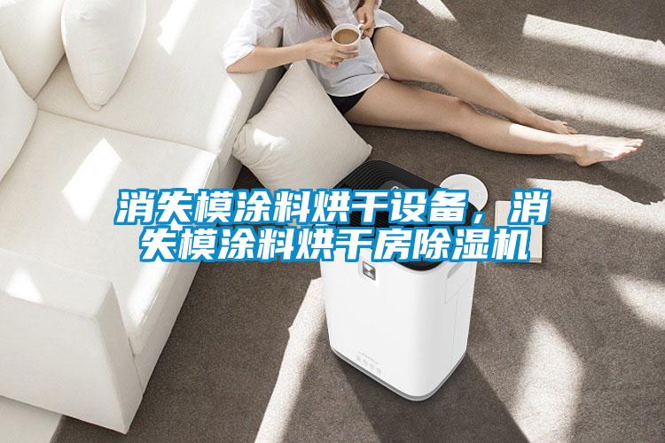 消失模涂料烘干設備，消失模涂料烘干房除濕機