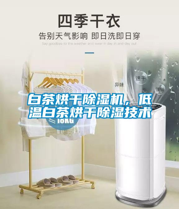 白茶烘干除濕機，低溫白茶烘干除濕技術