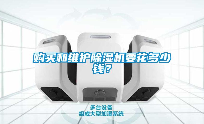購(gòu)買(mǎi)和維護(hù)除濕機(jī)要花多少錢(qián)？