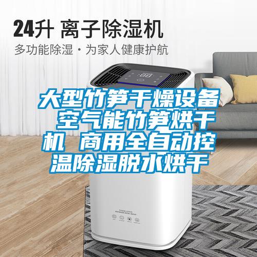 大型竹筍干燥設(shè)備 空氣能竹筍烘干機(jī) 商用全自動控溫除濕脫水烘干