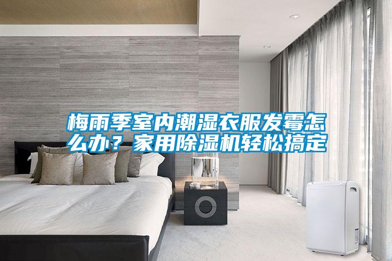 梅雨季室內潮濕衣服發霉怎么辦？家用除濕機輕松搞定