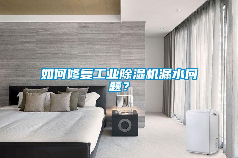 如何修復(fù)工業(yè)除濕機(jī)漏水問(wèn)題？