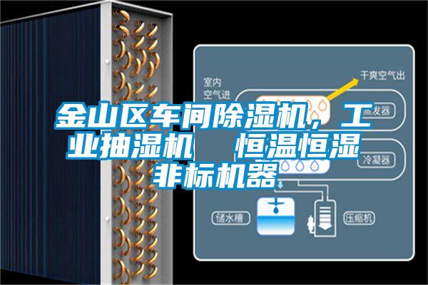 金山區(qū)車間除濕機，工業(yè)抽濕機  恒溫恒濕非標機器