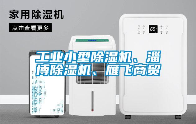 工業(yè)小型除濕機(jī)、淄博除濕機(jī)、雁飛商貿(mào)