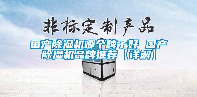 國產(chǎn)除濕機(jī)哪個牌子好 國產(chǎn)除濕機(jī)品牌推薦【詳解】