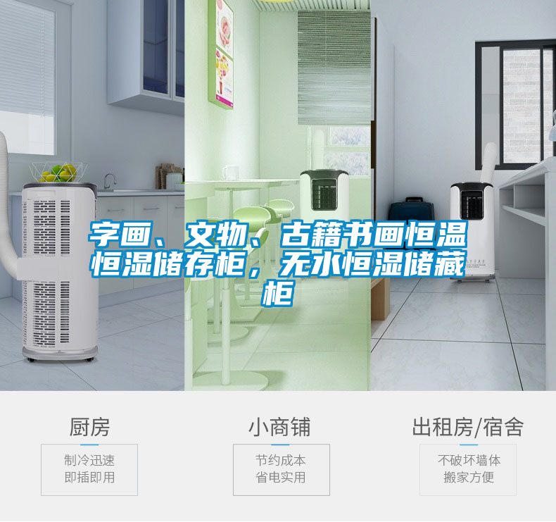 字畫、文物、古籍書畫恒溫恒濕儲(chǔ)存柜，無(wú)水恒濕儲(chǔ)藏柜