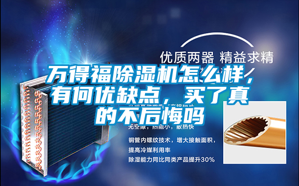 萬得福除濕機怎么樣，有何優缺點，買了真的不后悔嗎