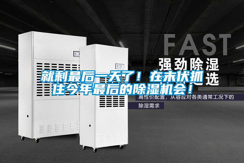 就剩最后一天了！在末伏抓住今年最后的除濕機會！