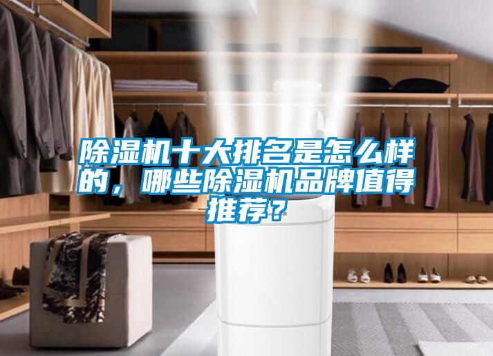 除濕機十大排名是怎么樣的，哪些除濕機品牌值得推薦？