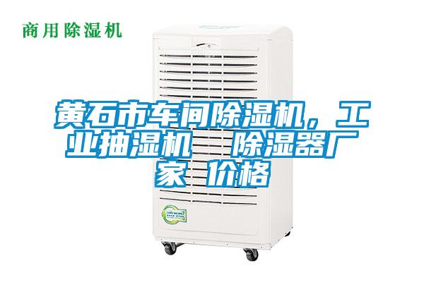 黃石市車間除濕機,工業(yè)抽濕機 除濕器廠家 價格