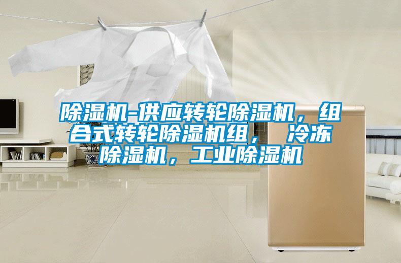 除濕機-供應(yīng)轉(zhuǎn)輪除濕機，組合式轉(zhuǎn)輪除濕機組， 冷凍除濕機，工業(yè)除濕機