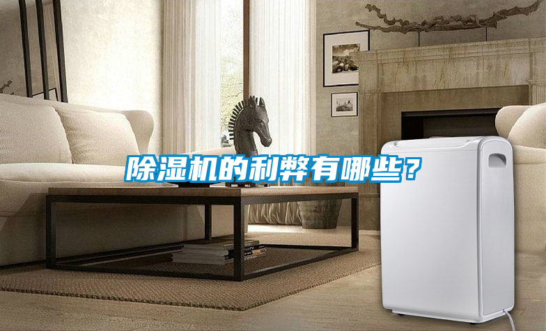 除濕機(jī)的利弊有哪些?
