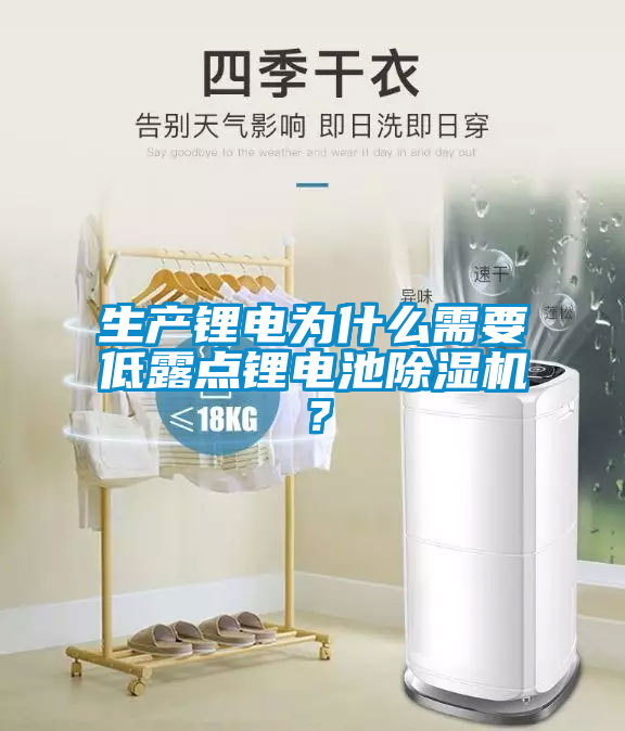 生產(chǎn)鋰電為什么需要低露點鋰電池除濕機？