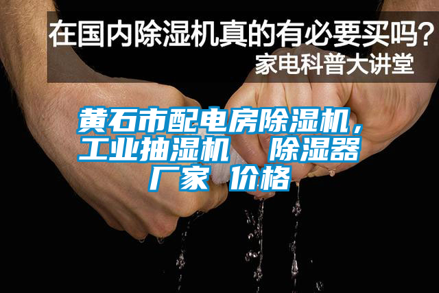 黃石市配電房除濕機，工業抽濕機  除濕器廠家 價格