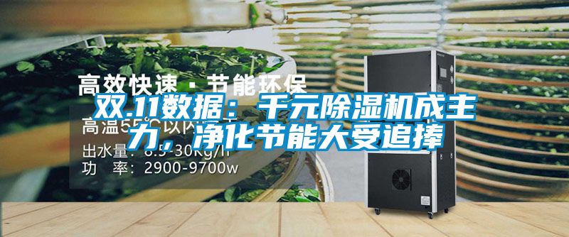 雙.11數據：千元除濕機成主力，凈化節能大受追捧