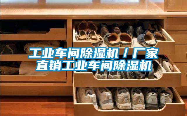 工業(yè)車間除濕機(jī)/廠家直銷工業(yè)車間除濕機(jī)