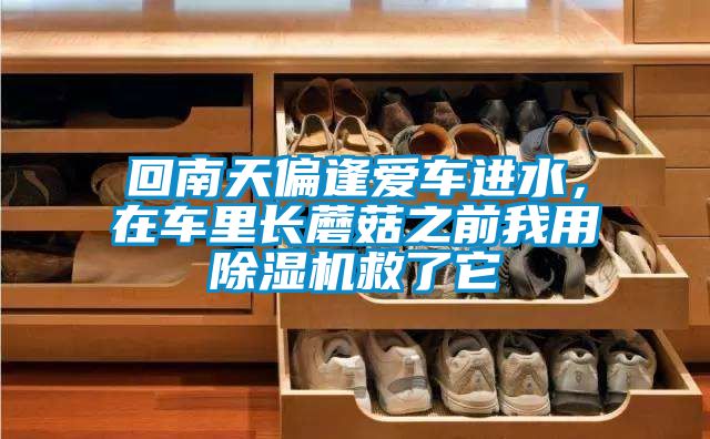 回南天偏逢愛車進(jìn)水，在車?yán)镩L(zhǎng)蘑菇之前我用除濕機(jī)救了它