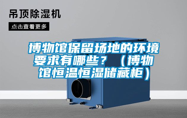 博物館保留場地的環境要求有哪些？（博物館恒溫恒濕儲藏柜）