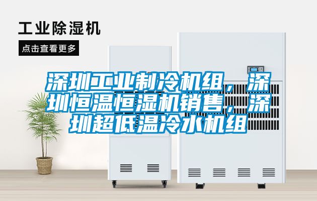 深圳工業(yè)制冷機(jī)組，深圳恒溫恒濕機(jī)銷售，深圳超低溫冷水機(jī)組