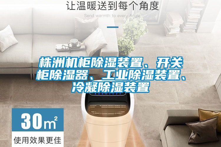 株洲機柜除濕裝置、開關(guān)柜除濕器、工業(yè)除濕裝置、冷凝除濕裝置