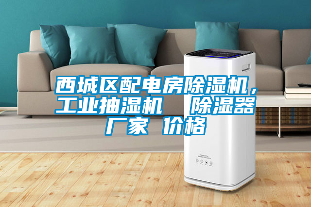 西城區(qū)配電房除濕機(jī)，工業(yè)抽濕機(jī)  除濕器廠家 價(jià)格