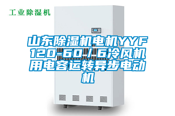 山東除濕機電機YYF120-60／6冷風(fēng)機用電容運轉(zhuǎn)異步電動機