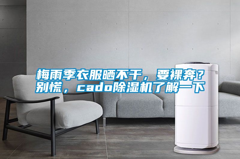 梅雨季衣服曬不干,要裸奔?別慌,cado除濕機了解一下